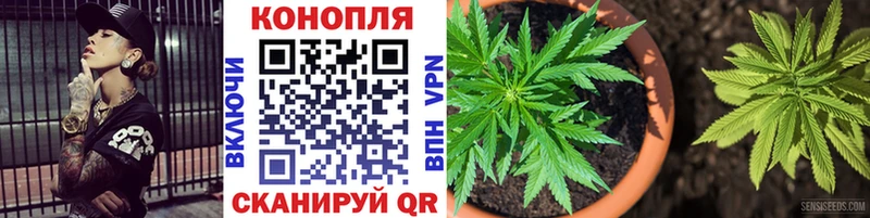 Бошки марихуана гибрид  Тейково 